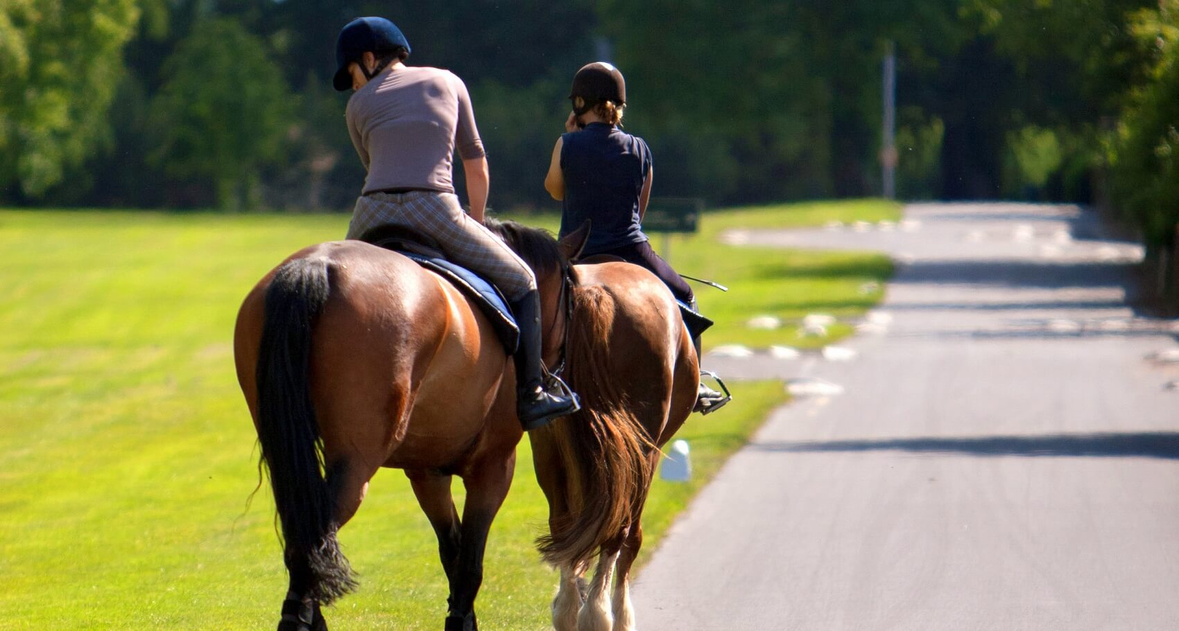 Horse Riding 